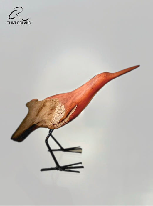 V-Shaped Tail