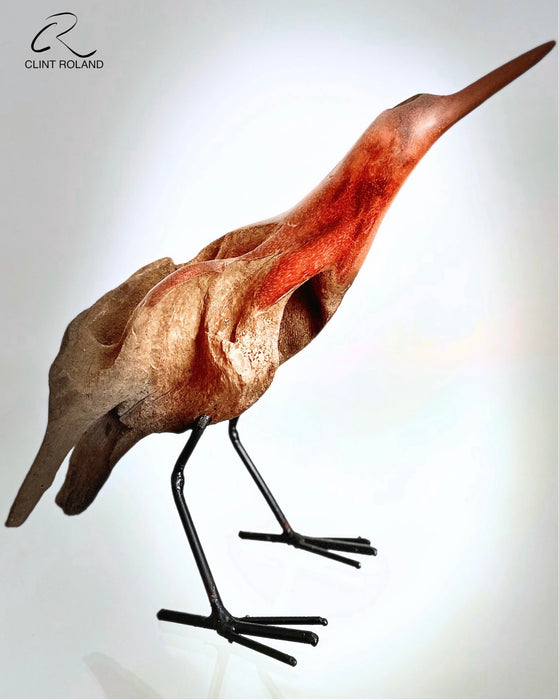V-Shaped Tail