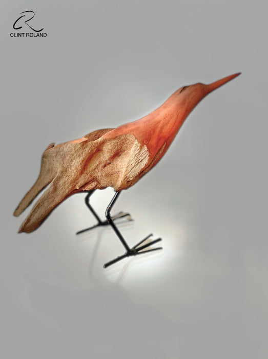 V-Shaped Tail