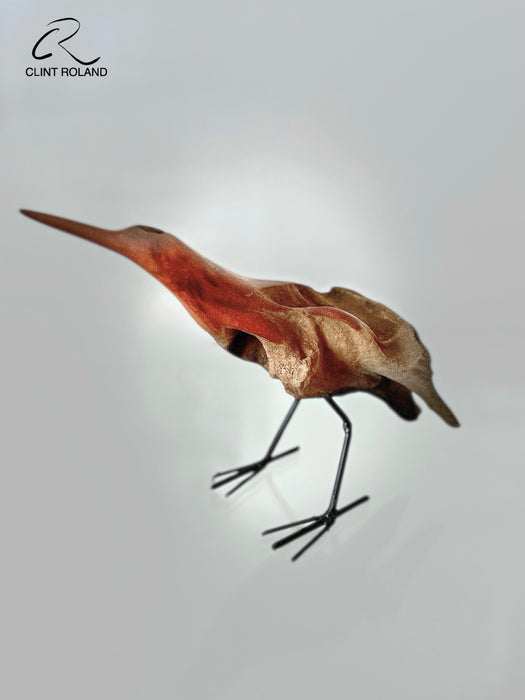 V-Shaped Tail