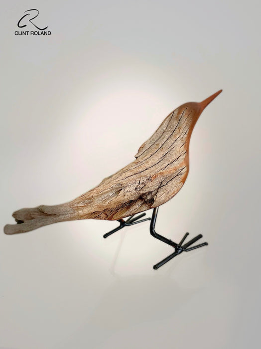 Lined Back Feathers