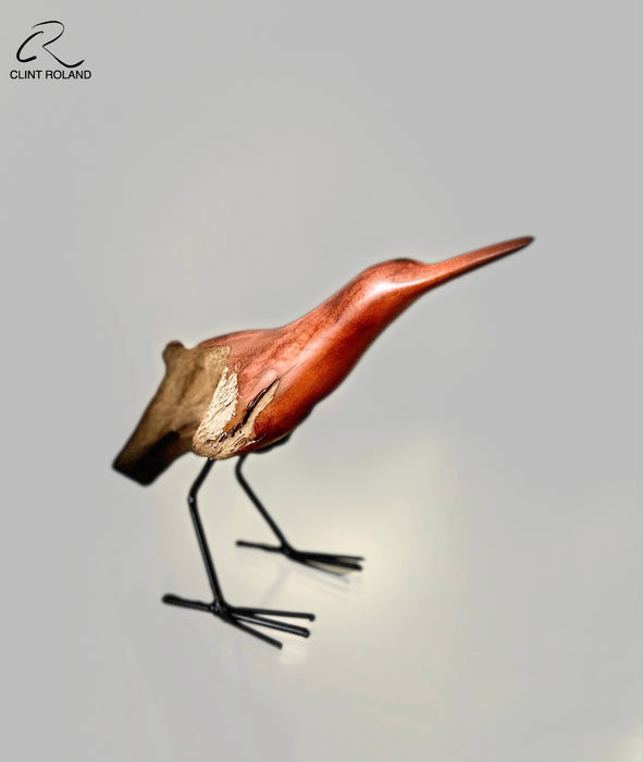 V-Shaped Tail
