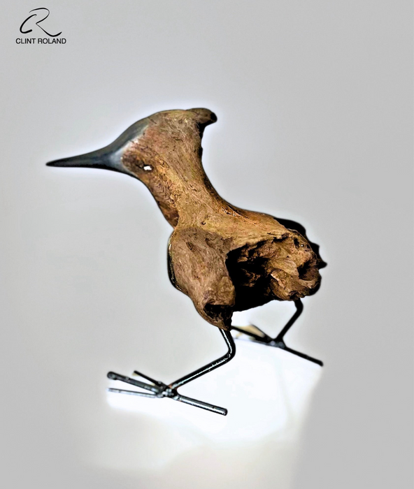 Black Beak Tail Off