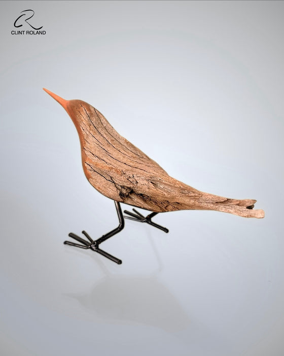 Lined Back Feathers