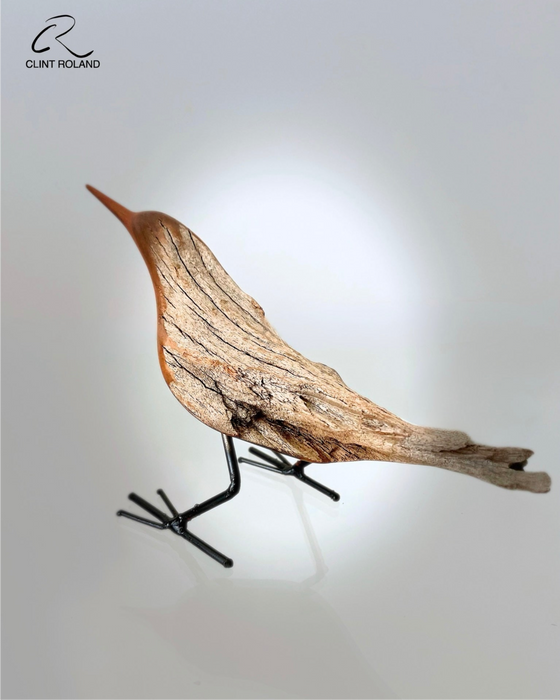 Lined Back Feathers