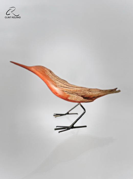 Lined Back Feathers